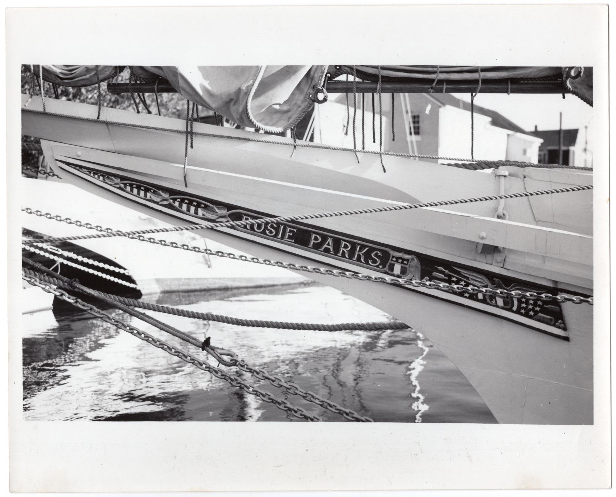 CBMM catalog image